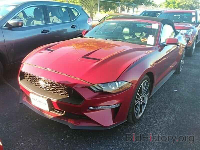 Photo 1FATP8UH0K5159488 - Ford Mustang 2019