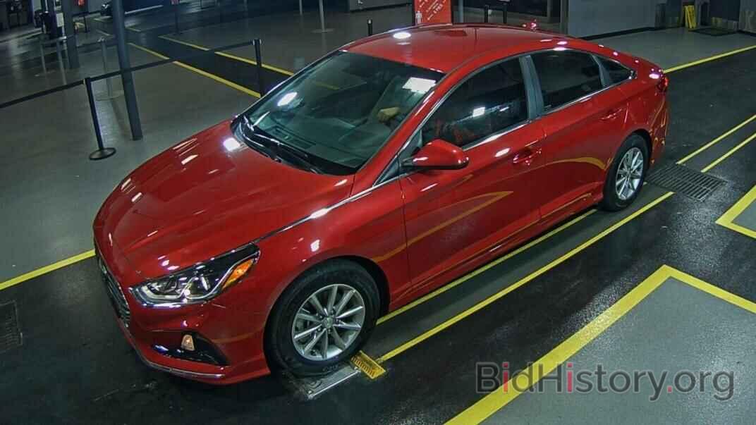 Фотография 5NPE24AF7KH816963 - Hyundai Sonata 2019