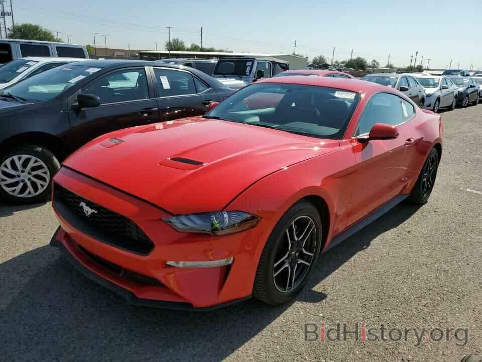 Фотография 1FA6P8TH8K5102650 - Ford Mustang 2019