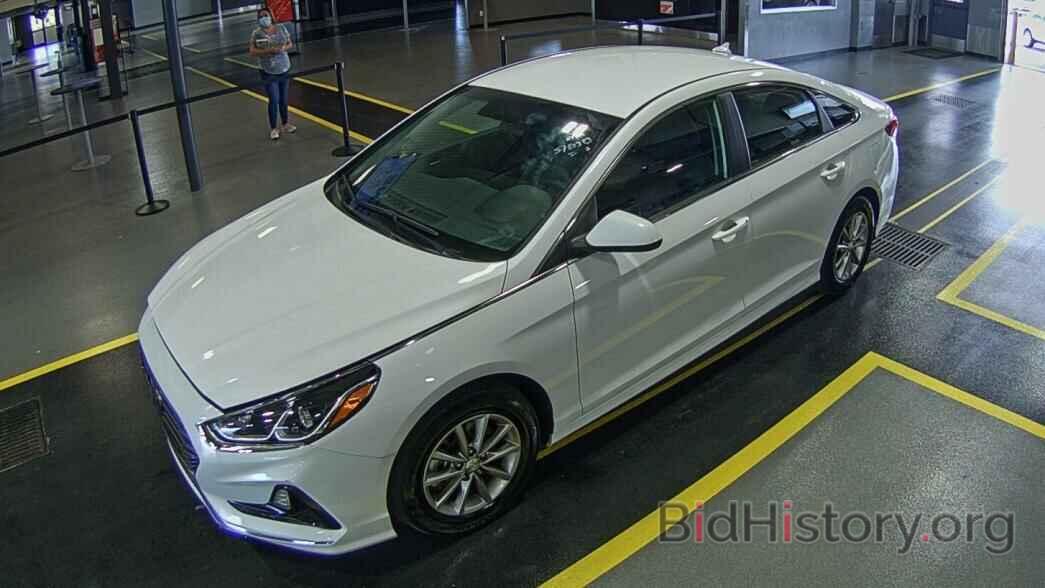 Фотография 5NPE24AF7KH771054 - Hyundai Sonata 2019