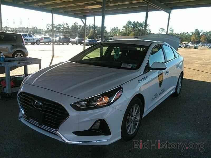 Photo 5NPE24AF3KH729531 - Hyundai Sonata 2019