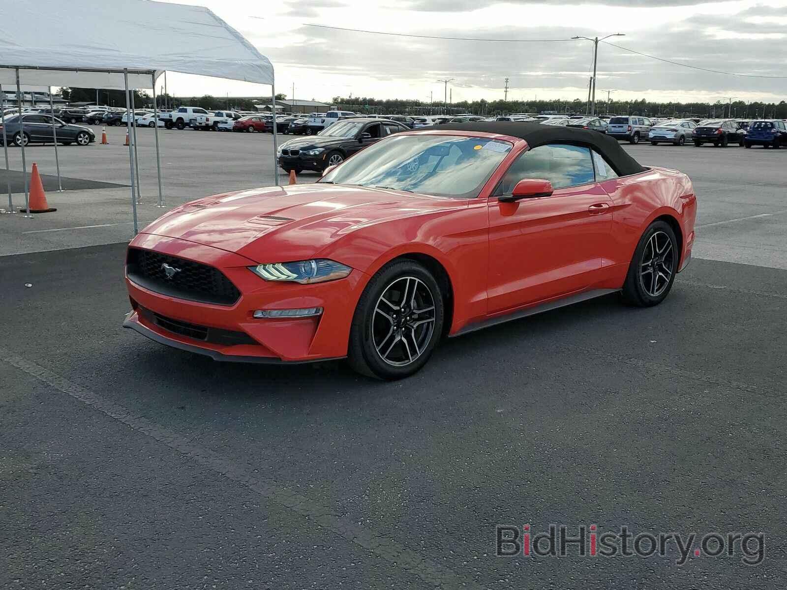 Photo 1FATP8UH3K5181873 - Ford Mustang 2019