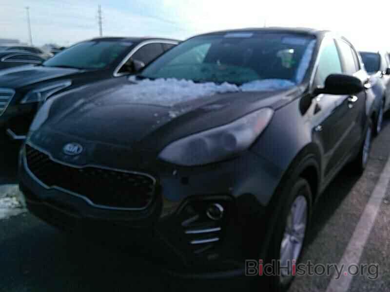 Фотография KNDPMCAC0K7494092 - Kia Sportage 2019