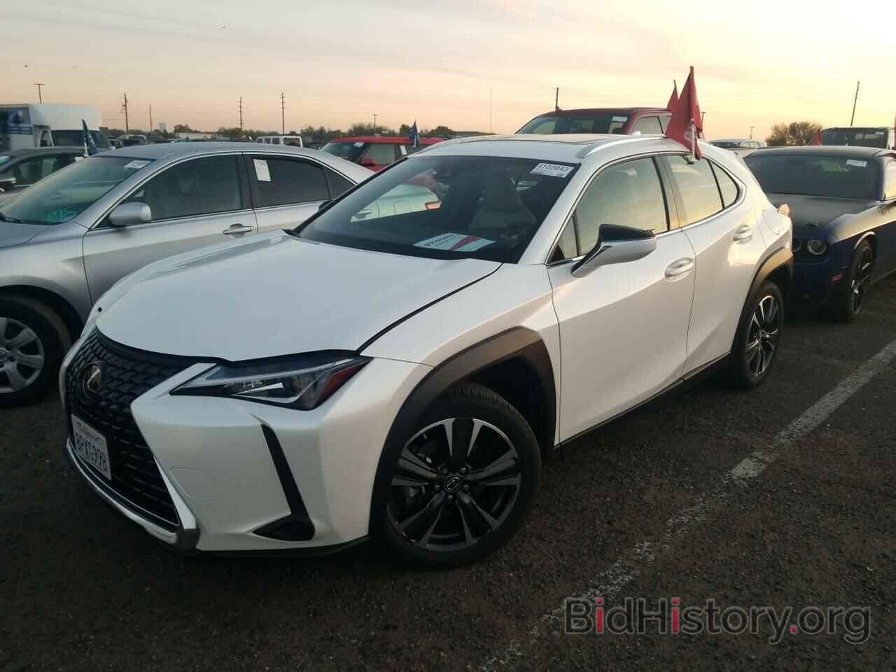 Фотография JTHX3JBH9L2024304 - Lexus UX 2020