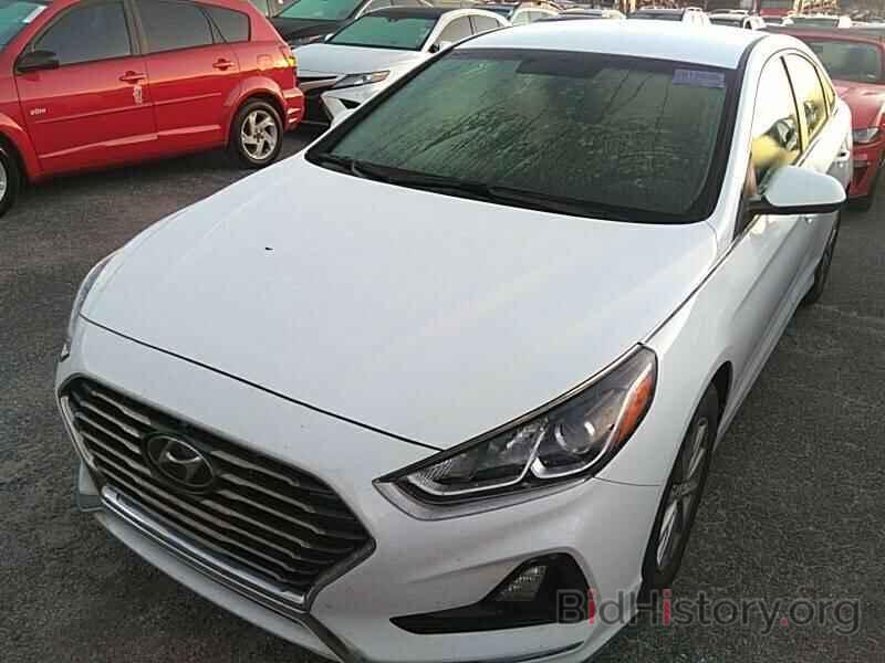 Photo 5NPE24AF9KH761593 - Hyundai Sonata 2019