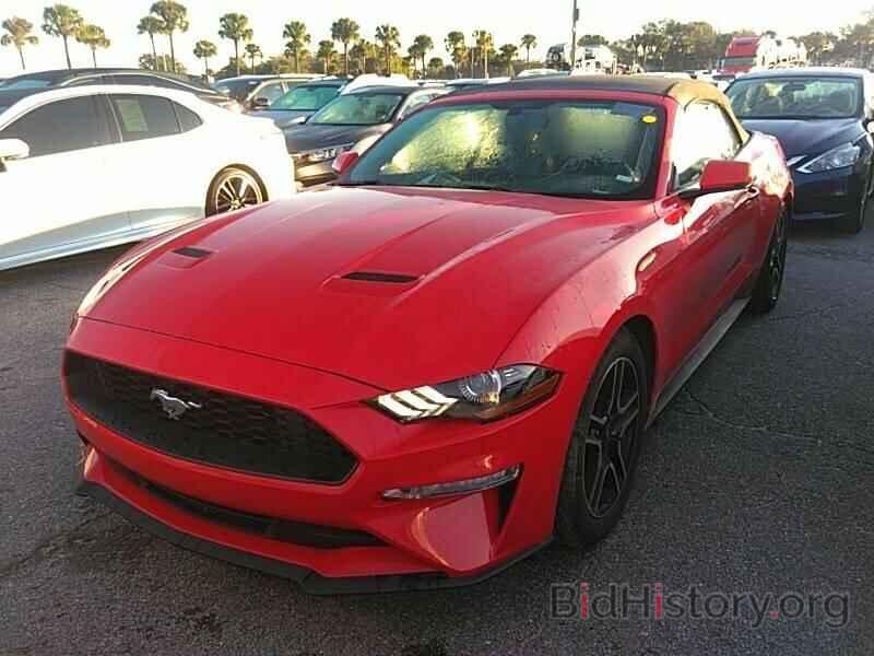 Photo 1FATP8UH1K5109554 - Ford Mustang 2019