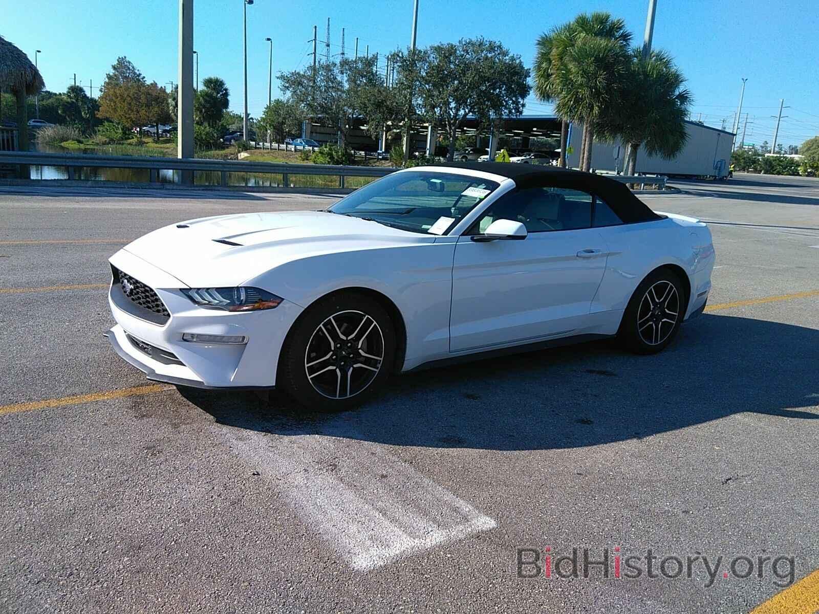 Photo 1FATP8UH9K5109785 - Ford Mustang 2019