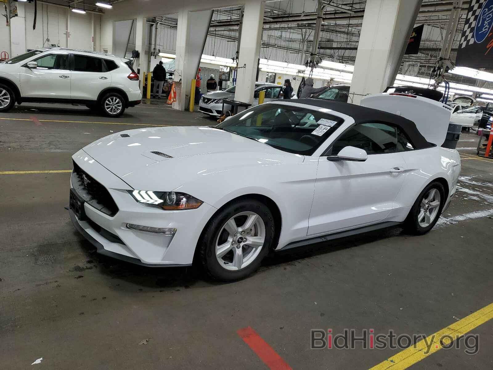 Photo 1FATP8UH4K5156836 - Ford Mustang 2019