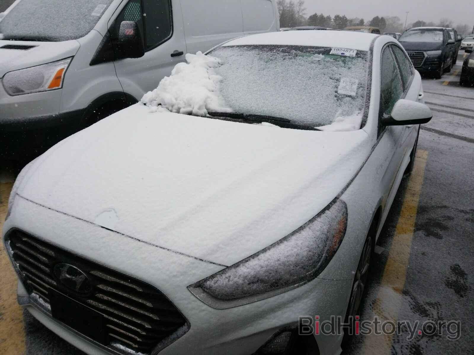 Photo 5NPE24AF7KH786573 - Hyundai Sonata 2019