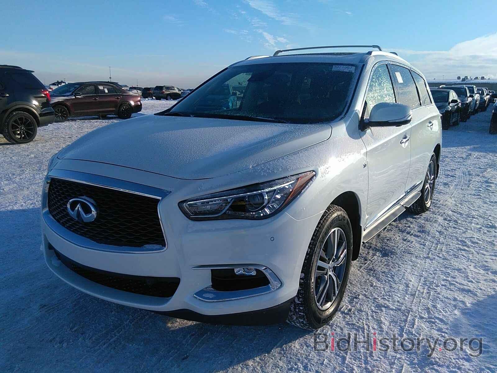 Фотография 5N1DL0MM3LC513294 - INFINITI QX60 2020