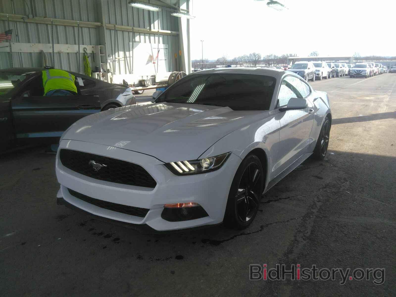 Photo 1FA6P8TH1H5210438 - Ford Mustang 2017