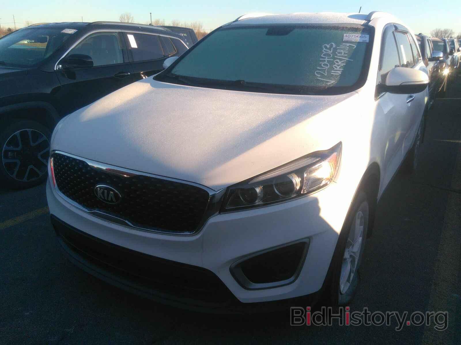 Photo 5XYPG4A33HG264023 - Kia Sorento 2017