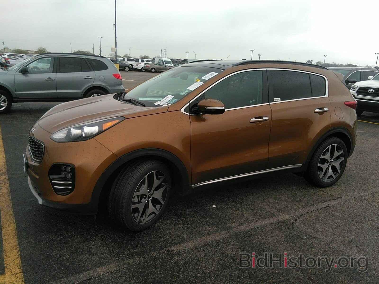 Фотография KNDPR3A63K7561389 - Kia Sportage 2019