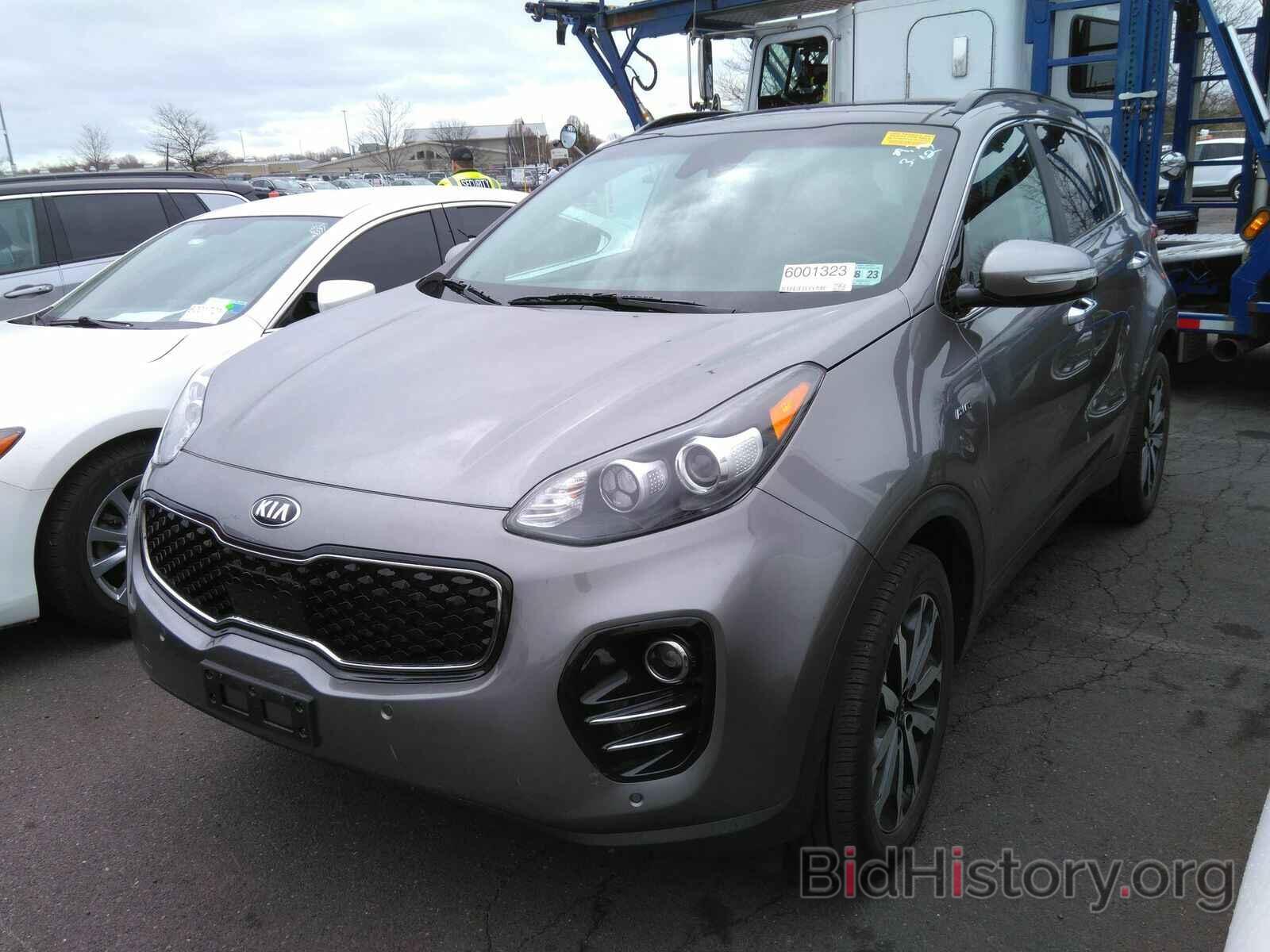 Фотография KNDPNCAC0K7499466 - Kia Sportage 2019