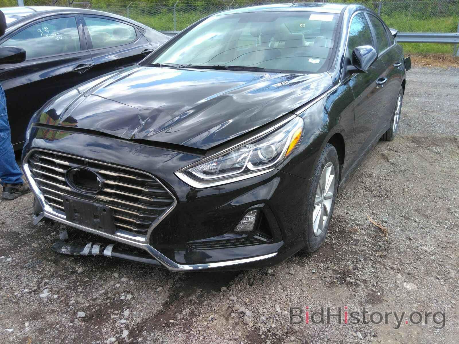 Photo 5NPE24AF7KH792924 - Hyundai Sonata 2019