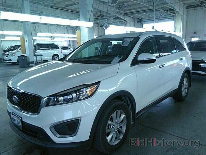 Photo 5XYPG4A32GG032978 - Kia Sorento 2016