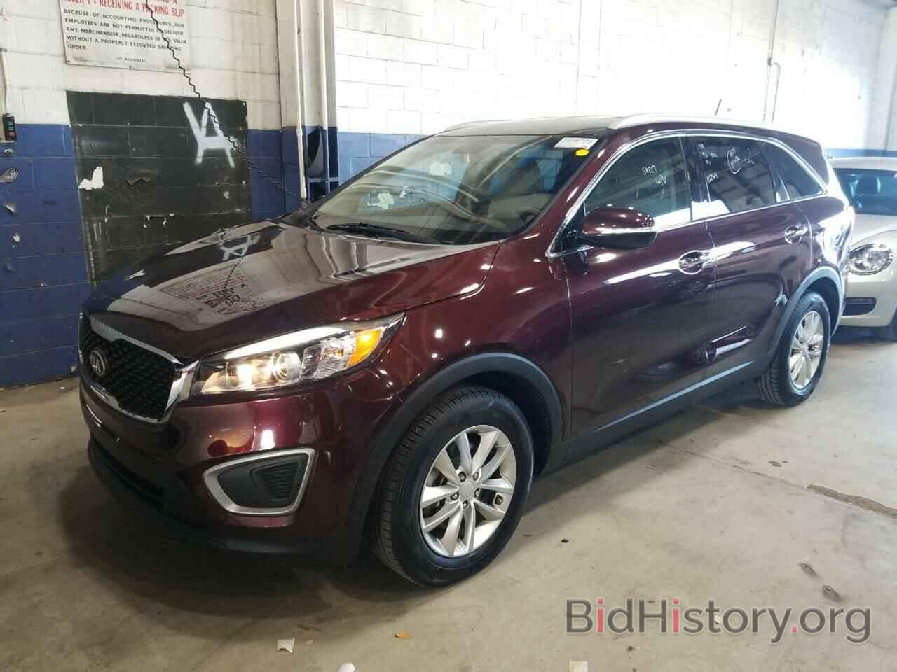 Photo 5XYPG4A33GG081171 - Kia Sorento 2016