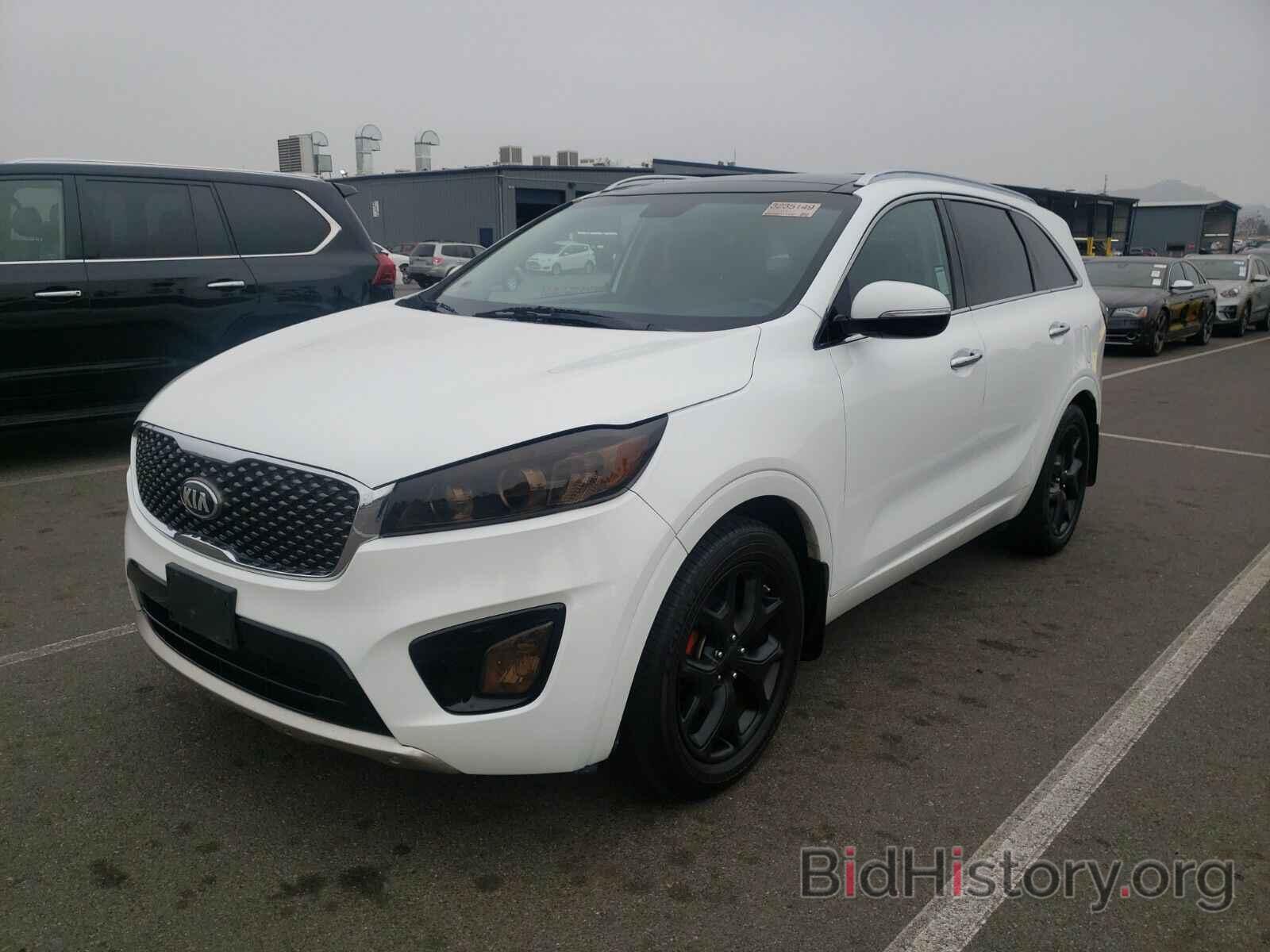 Photo 5XYPK4A59GG078923 - Kia Sorento 2016