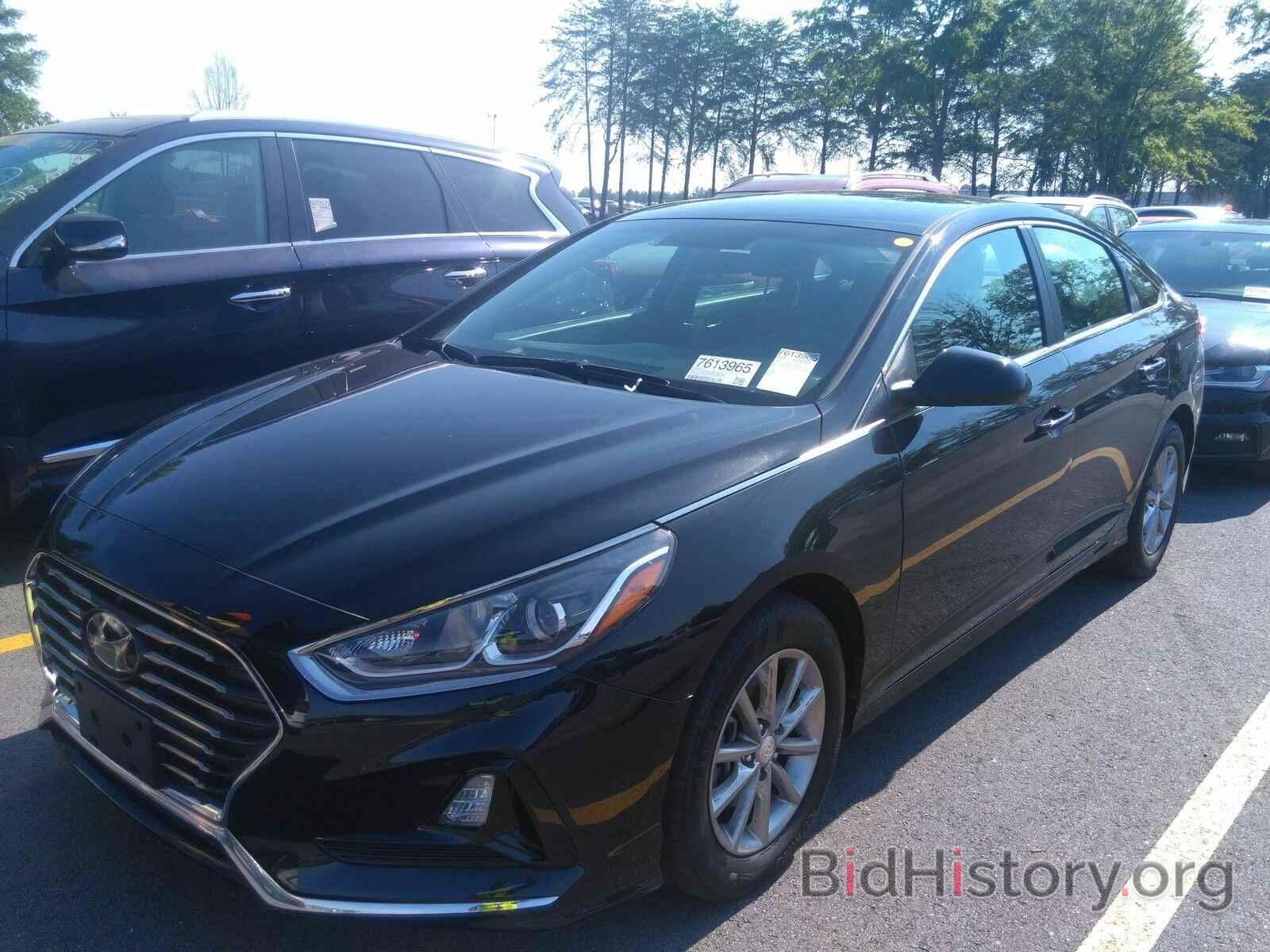 Photo 5NPE24AF8KH768986 - Hyundai Sonata 2019