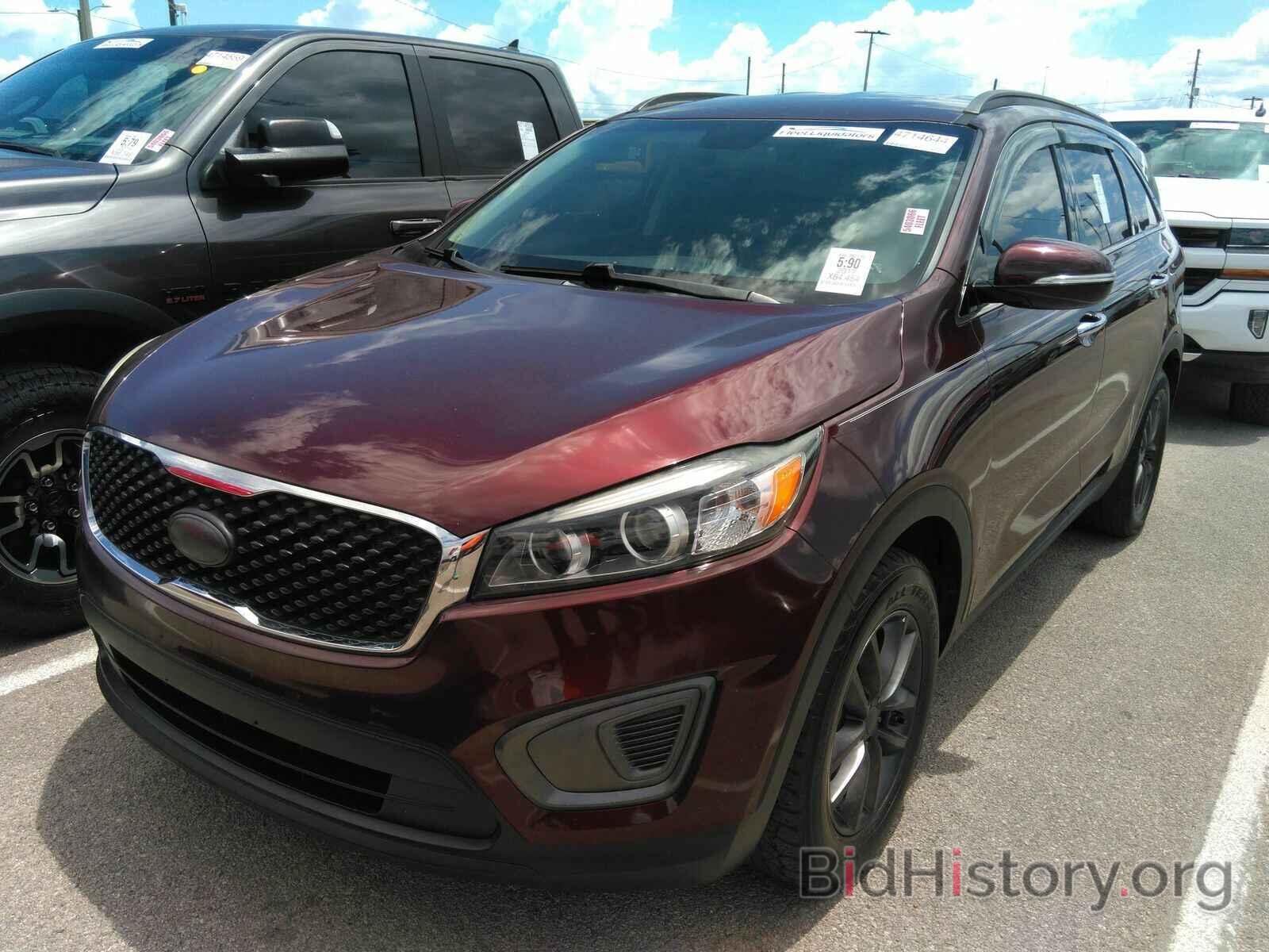 Photo 5XYPG4A50HG223950 - Kia Sorento 2017