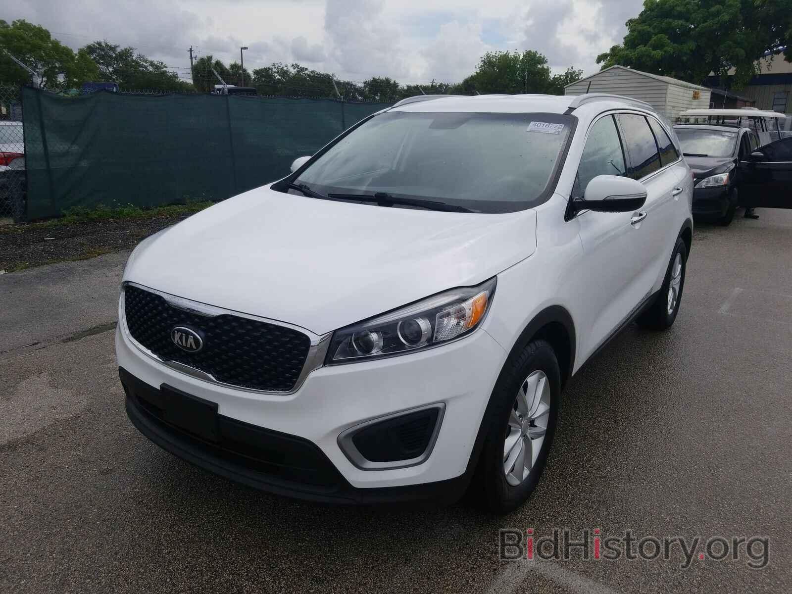 Photo 5XYPG4A59HG250273 - Kia Sorento 2017