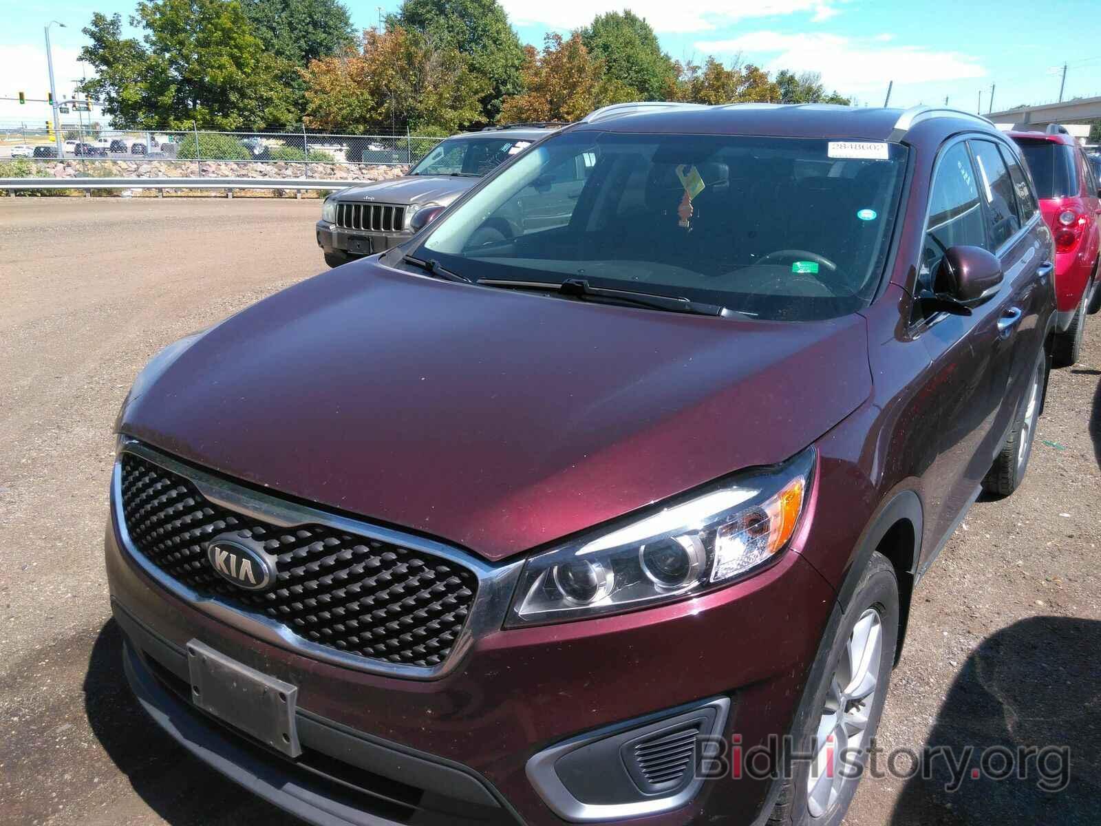 Photo 5XYPGDA35HG303601 - Kia Sorento 2017