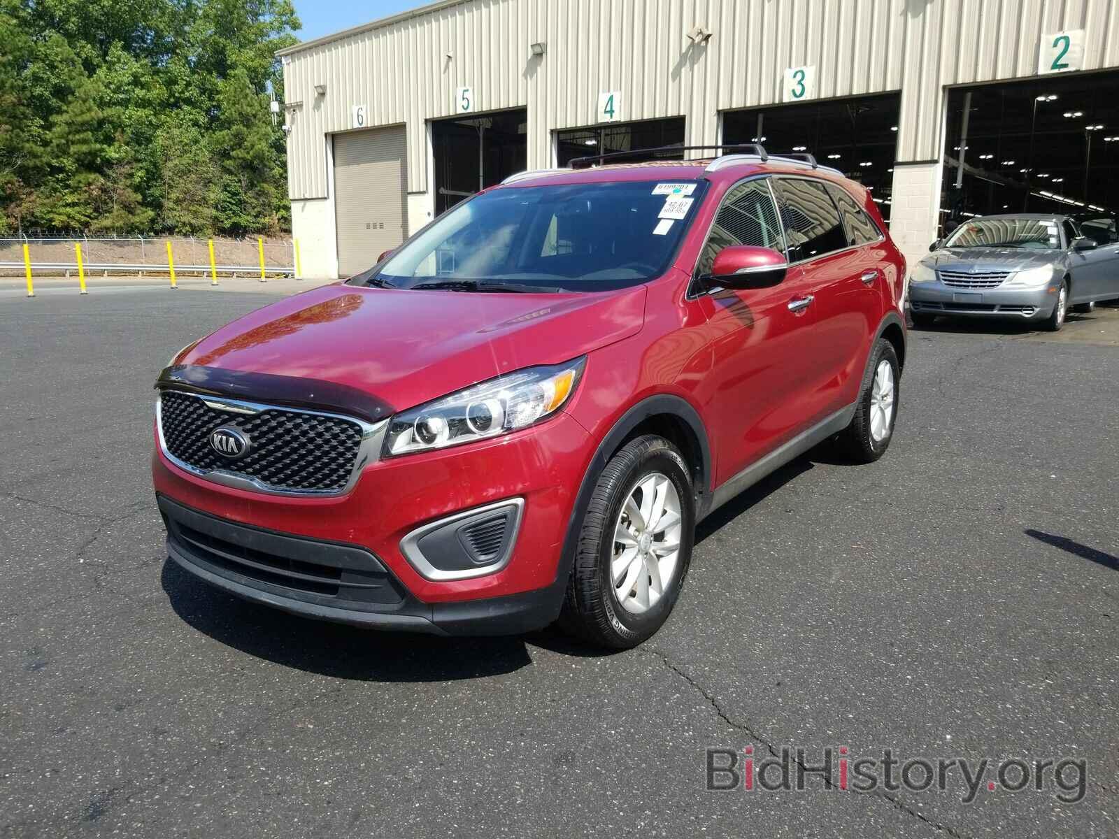 Photo 5XYPG4A31GG091195 - Kia Sorento 2016