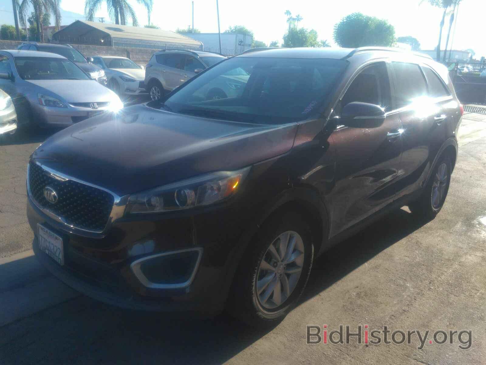 Photo 5XYPG4A52HG326691 - Kia Sorento 2017