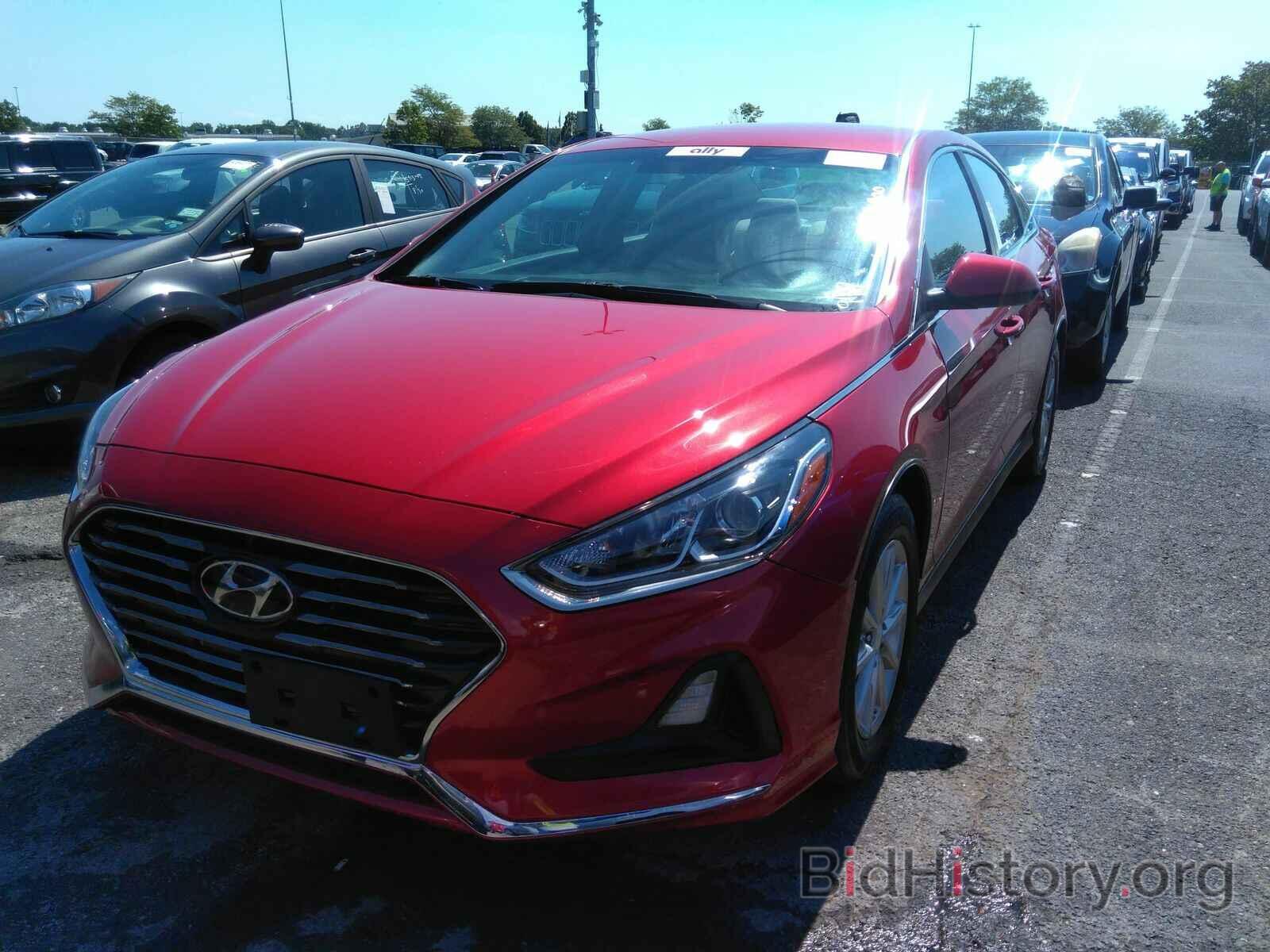 Фотография 5NPE24AF6KH791828 - Hyundai Sonata 2019