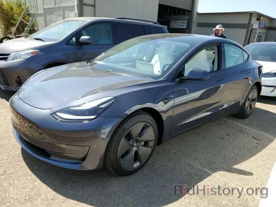 Photo 5YJ3E1EA4MF060019 - Tesla Model 3 2021