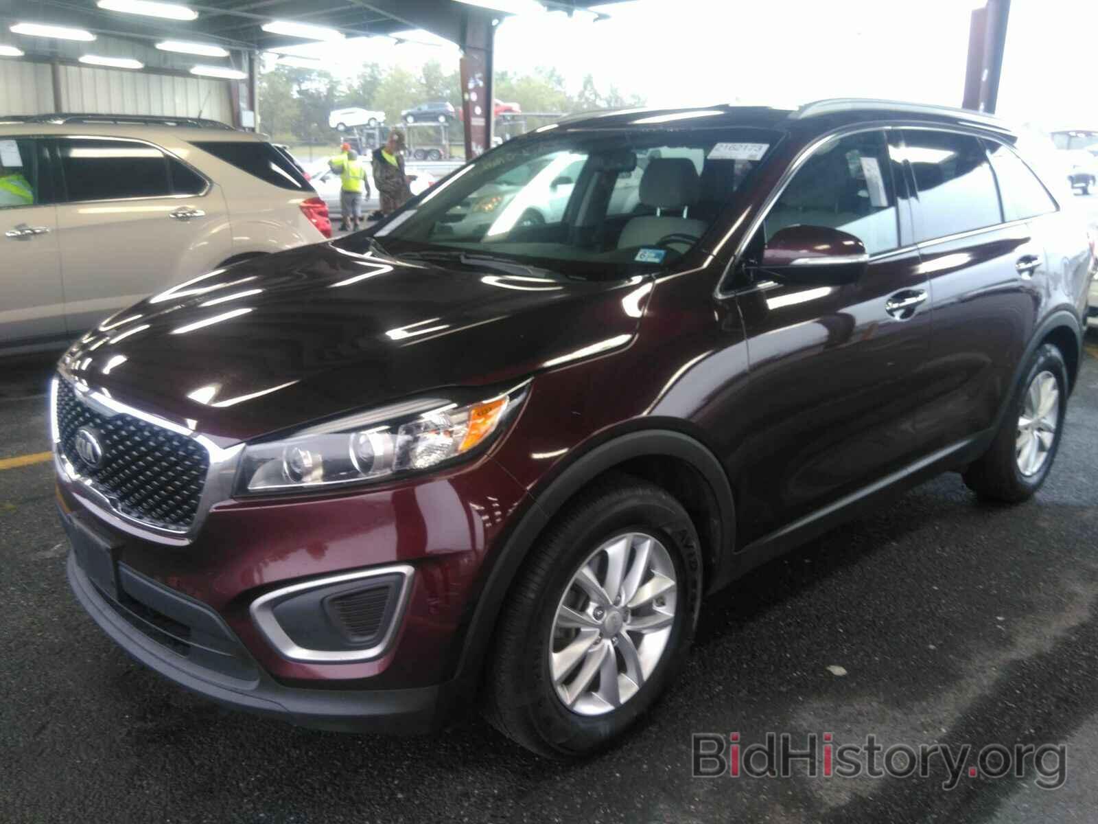 Photo 5XYPG4A34GG122455 - Kia Sorento 2016